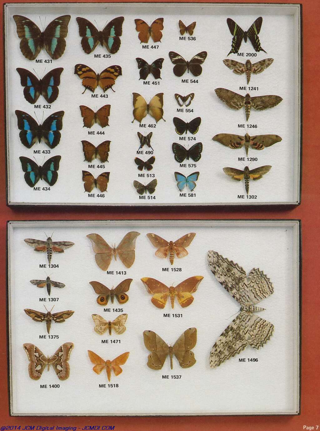 The Butterfly Company (NY) 20 page catalog 1978